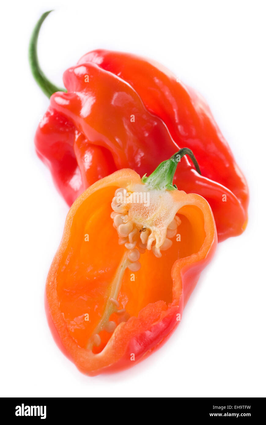 Habanero chili on white background. Stock Photo
