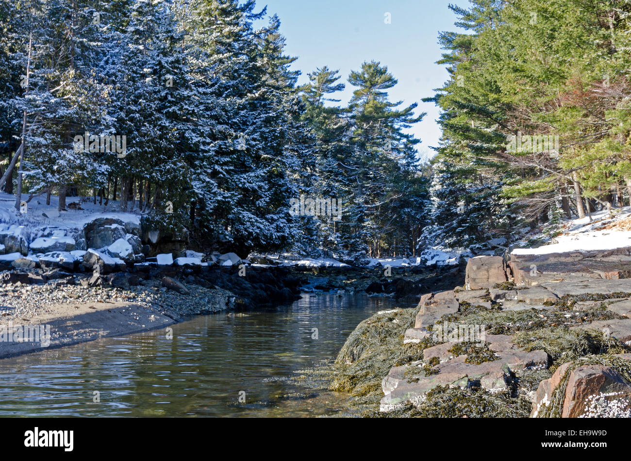 The high tide line of a brackish creek is clearly marked in the snow, Bar Harbor, Maine Stock Photo