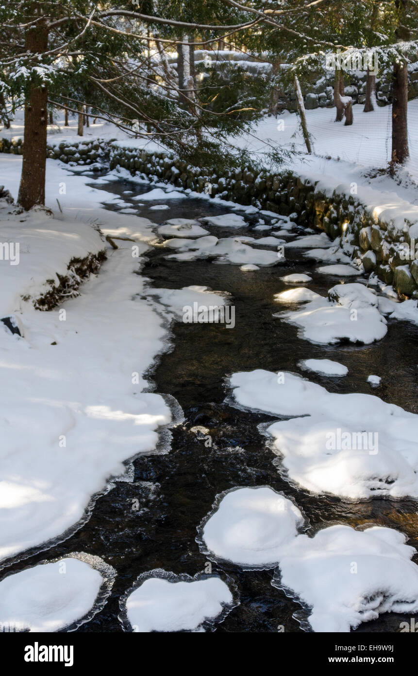 Ice forming in a swiftflowing stream, Maine Stock Photo Alamy