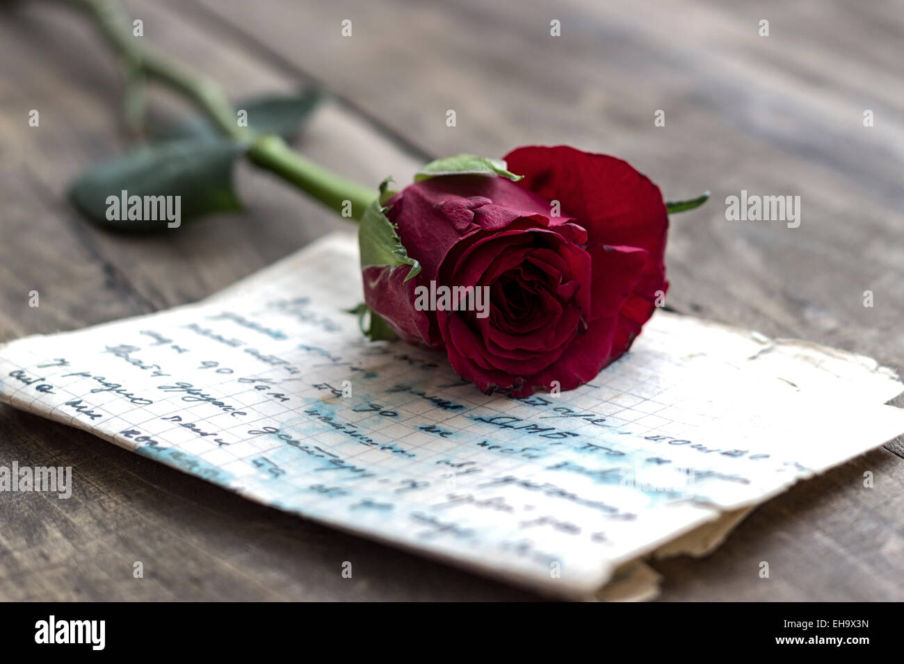 Love letter and rose on wooden background,close up Stock Photo