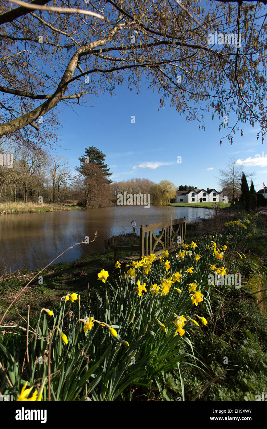 Village of Aldersey, England. Picturesque spring view of a fishing pond with Aldersey’s Pool Farm in the background. Stock Photo