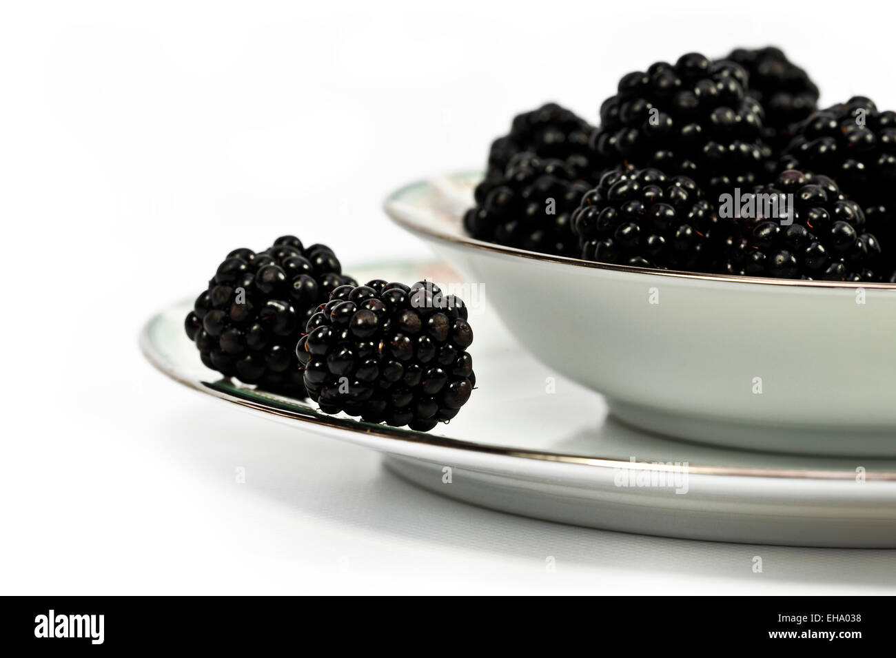 Bowl of fresh blackberries Stock Photo