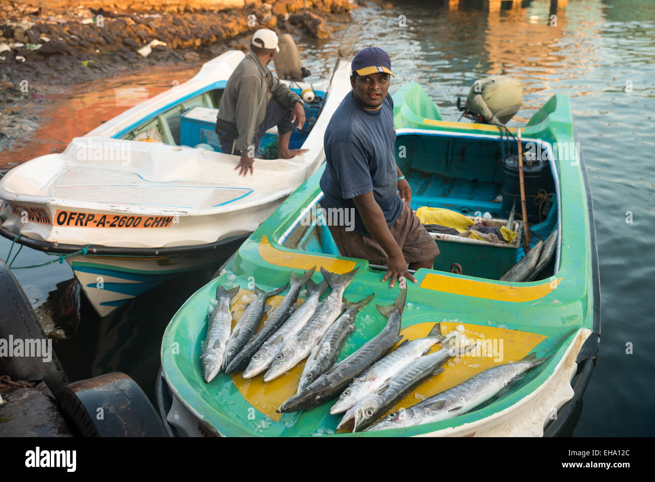 Ladyfish hi-res stock photography and images - Alamy