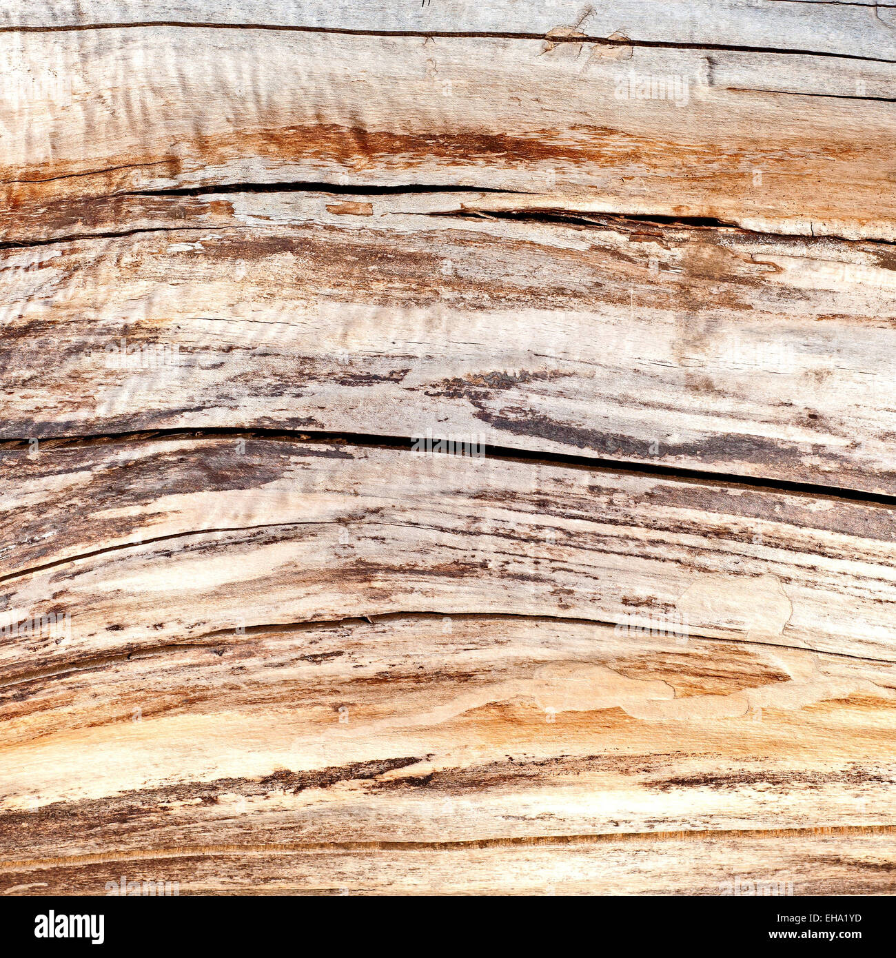 Old Dry Wood Stock Photo Alamy