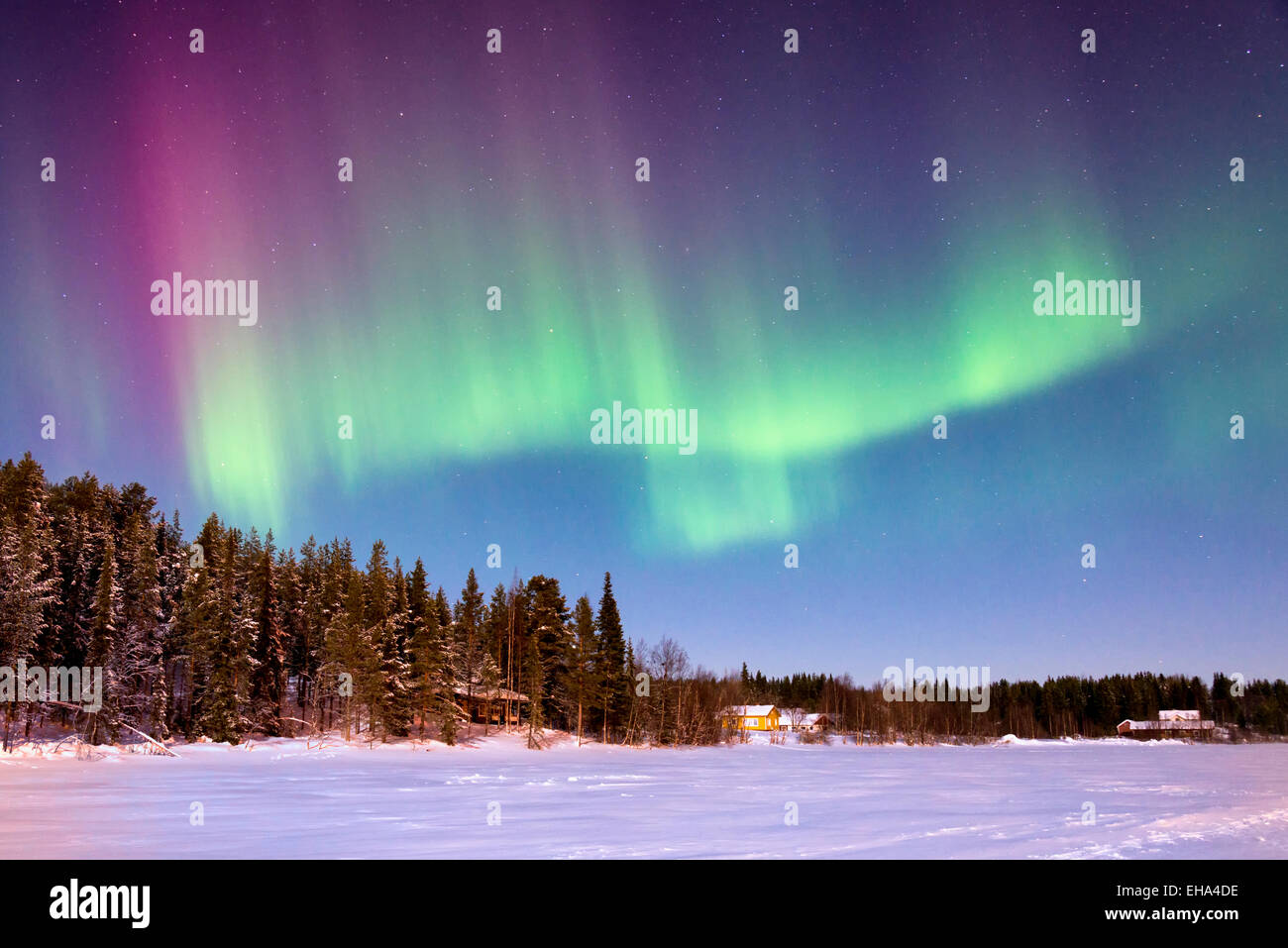 The aurora borealis or Northern Lights in the night sky over a frozen lake  at Levi Lapland Finland Stock Photo - Alamy