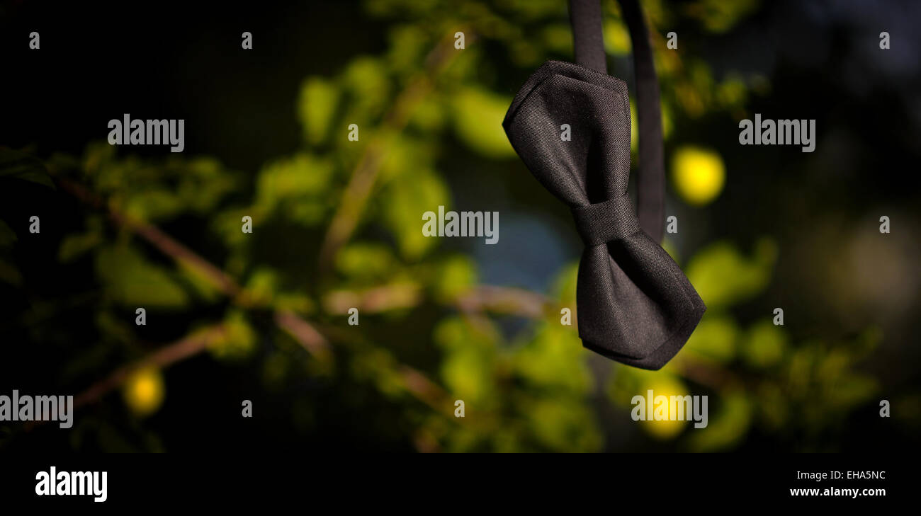A black bow tie Stock Photo