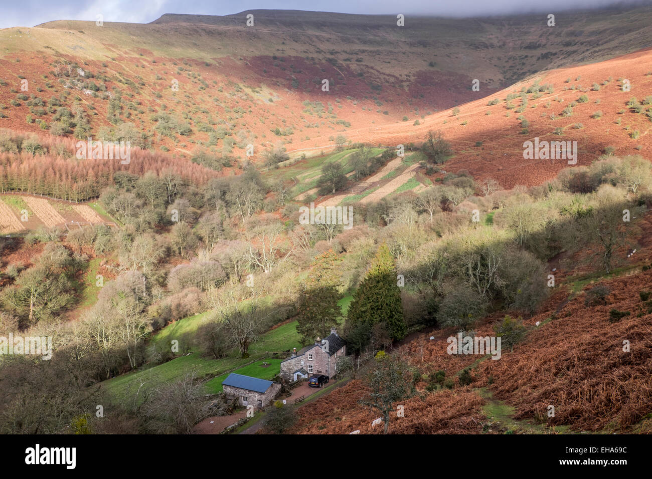 Black Mountains, Powys, Wales Stock Photo Alamy