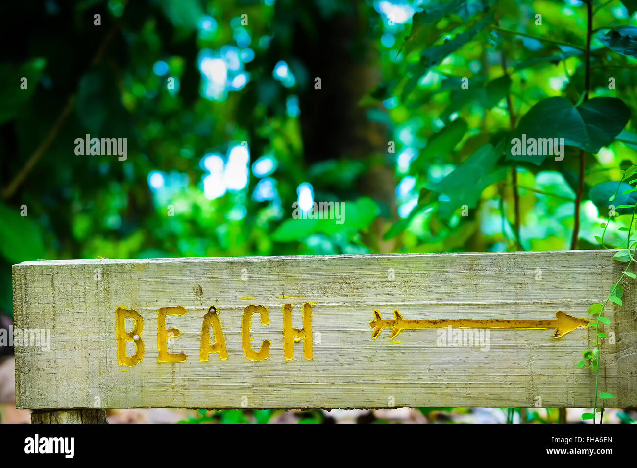 Wooden beach sign Stock Photo - Alamy