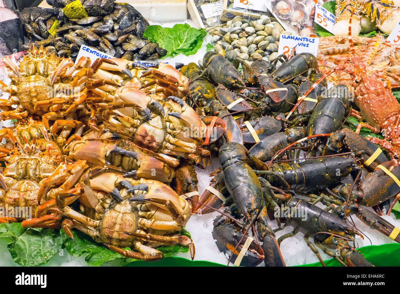 Shellfish for sale at the Boqueria market in Barcelona Stock Photo Alamy