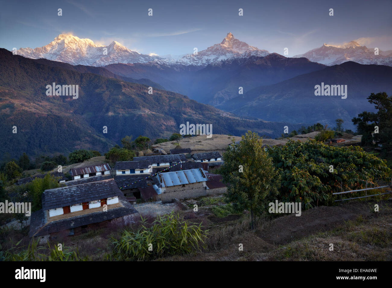 The Annapurnas from Dhampus village in Nepal Stock Photo - Alamy