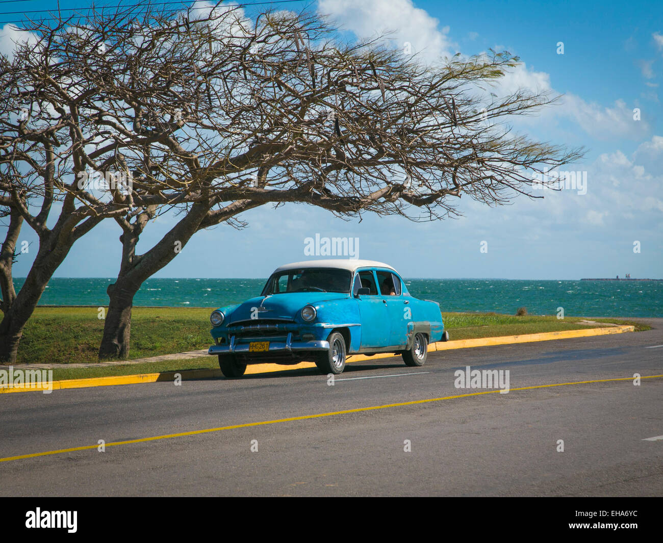 American car under a tree bye the sea Stock Photo
