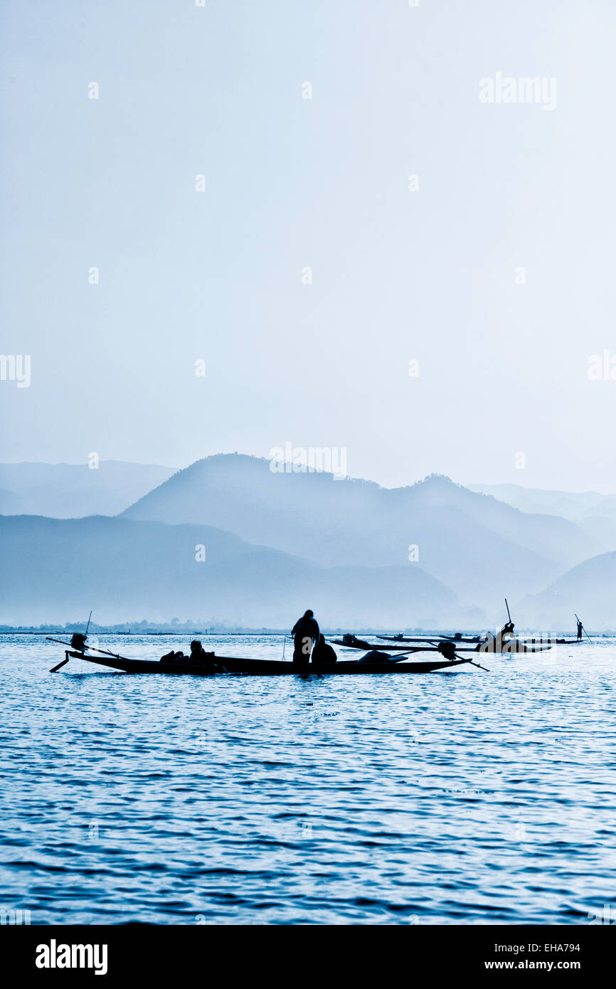 Local people in boats harvesting weed at sunrise, Inle lake, Myanmar ( Burma ), Asia Stock Photo