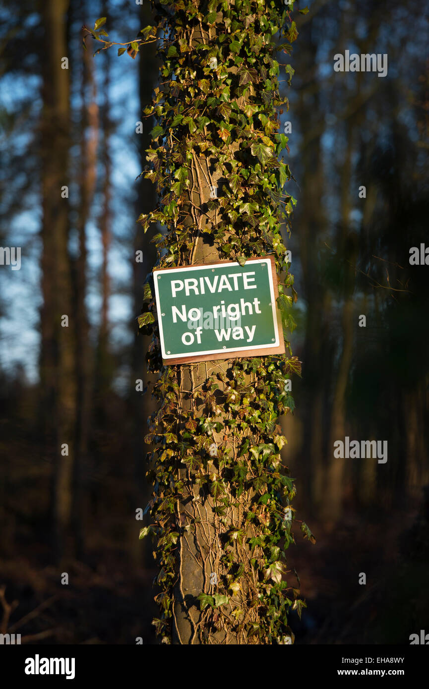 Private No Right Of Way sign nailed to a tree in a private woodland. UK Stock Photo