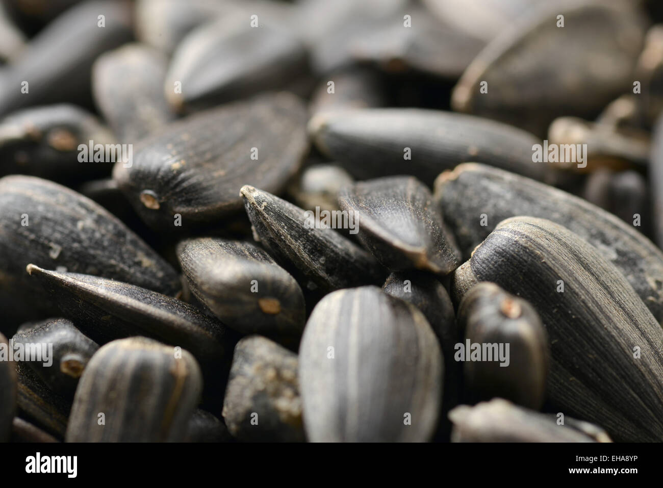 Sunflower seeds, for backgrounds or textures. Stock Photo