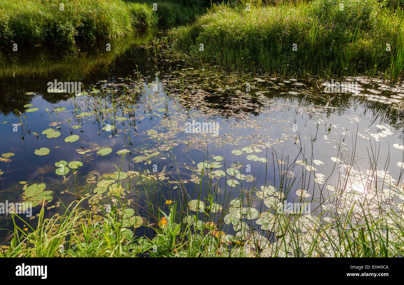Sunlight reflected on river hi-res stock photography and images - Alamy