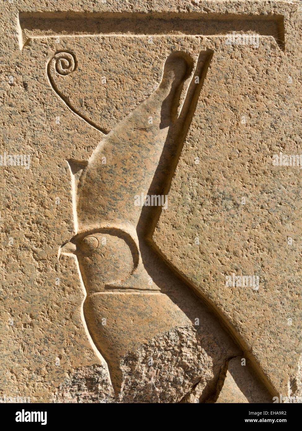 Close up of Horus wearing the double crown of ancient Egypt in a relief in Karnak temple Luxor, Upper Egypt Stock Photo