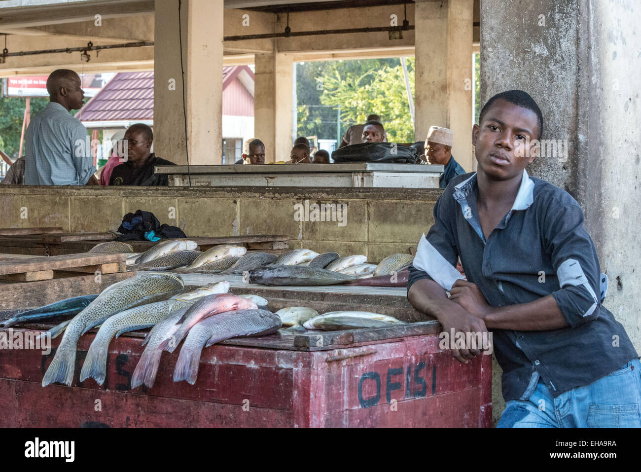 Dar Es Salaam, Fish Market, Young Man Stock Photo
