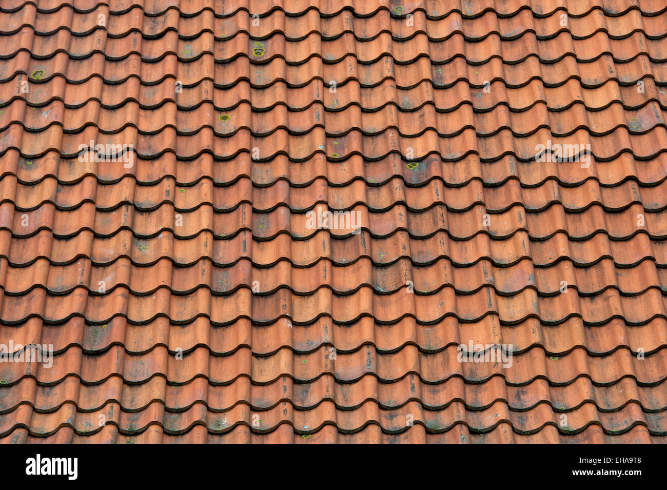 Red Roof tiles. Northumberland, England Stock Photo