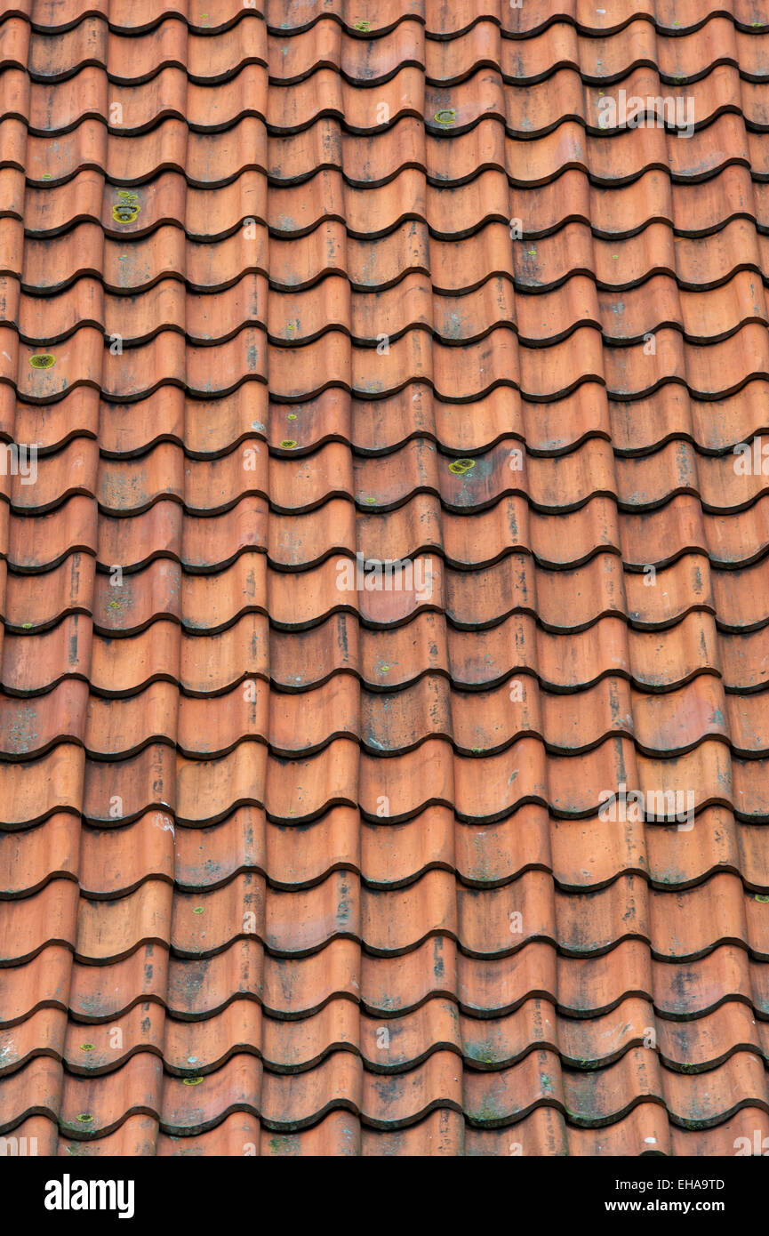 Red Roof tiles. Northumberland, England Stock Photo