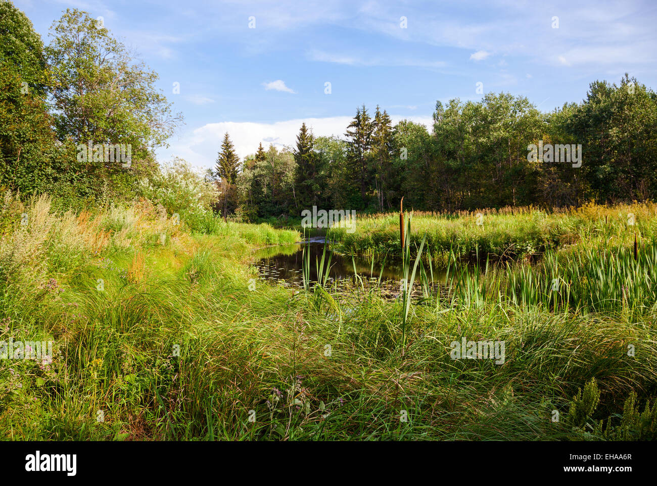Beautiful tranquil summer landscape hi-res stock photography and images ...