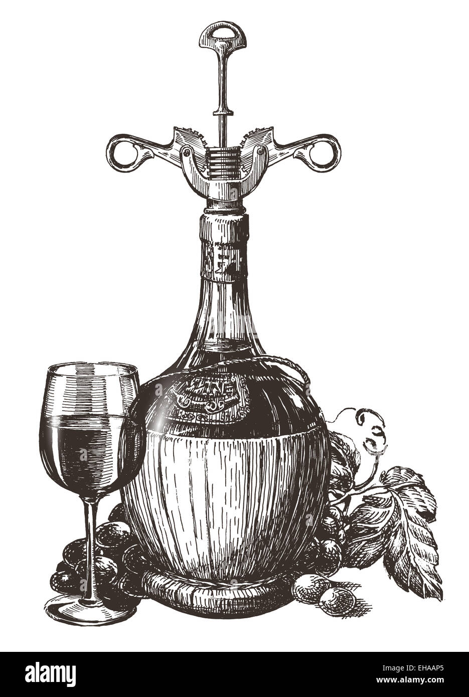 wine vector logo design template. grape or drink icon. Stock Photo