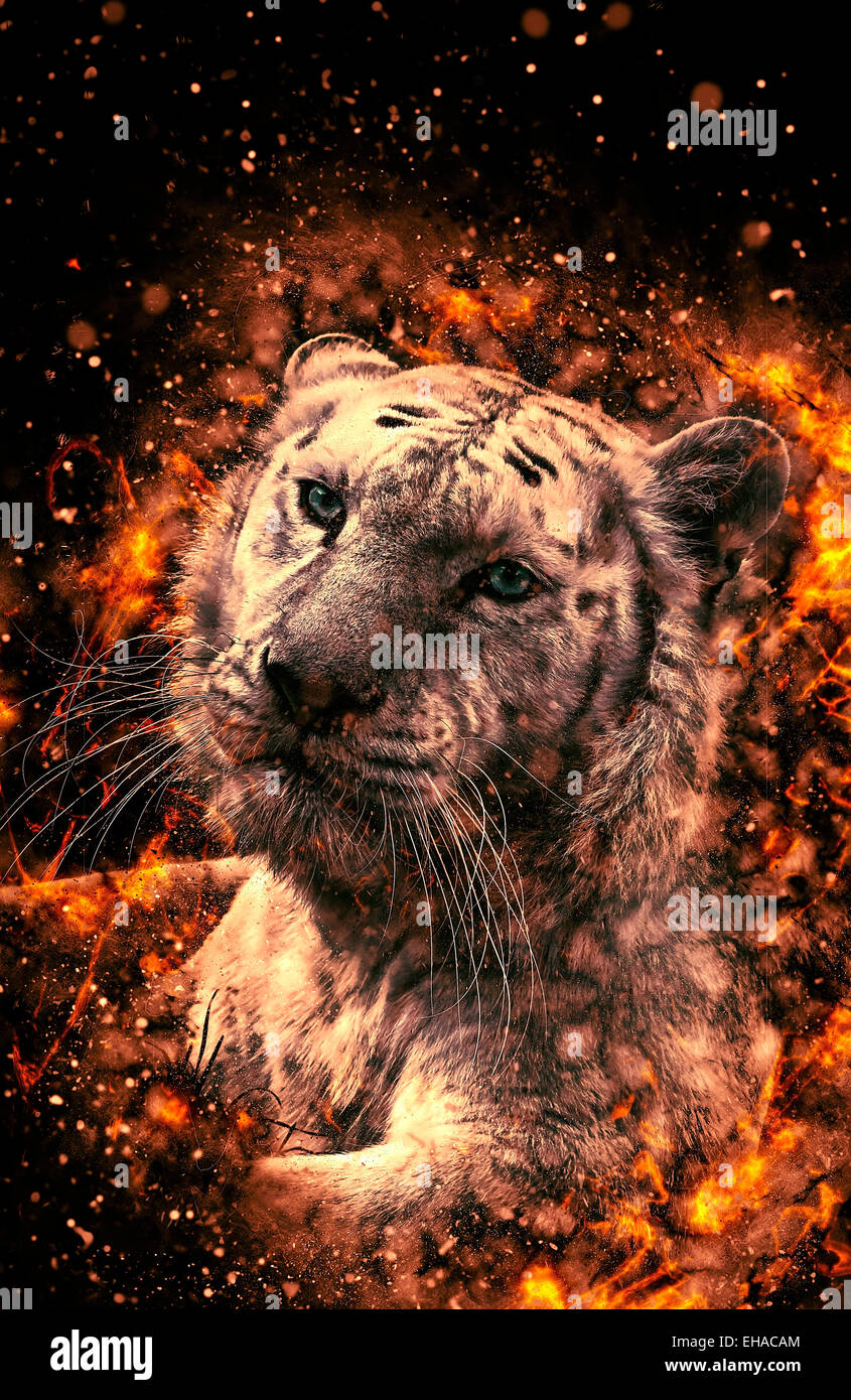 White Bengal tiger,  fire illustration Stock Photo