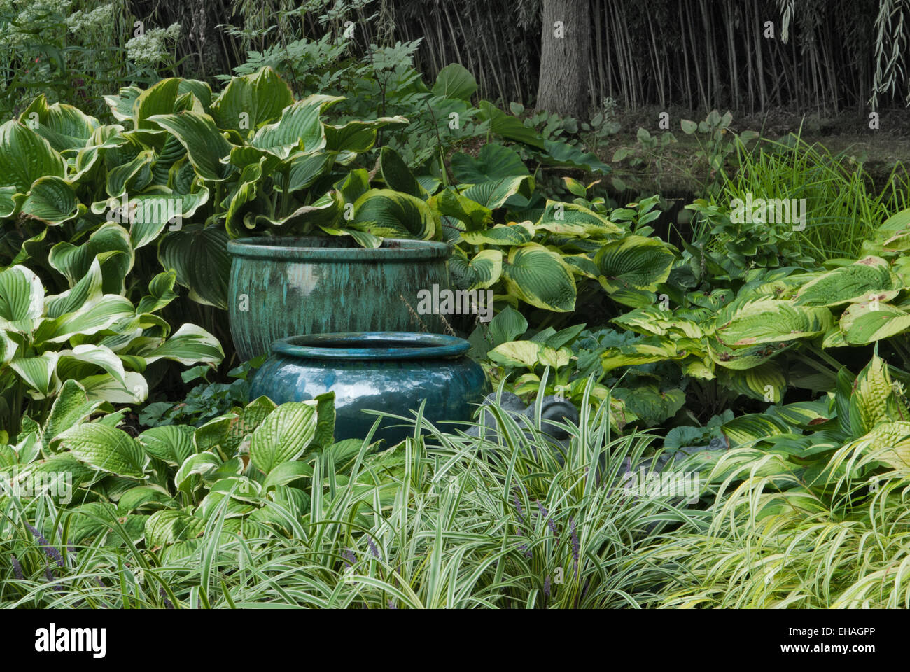 Hosta Garden with ceramic, planters Stock Photo