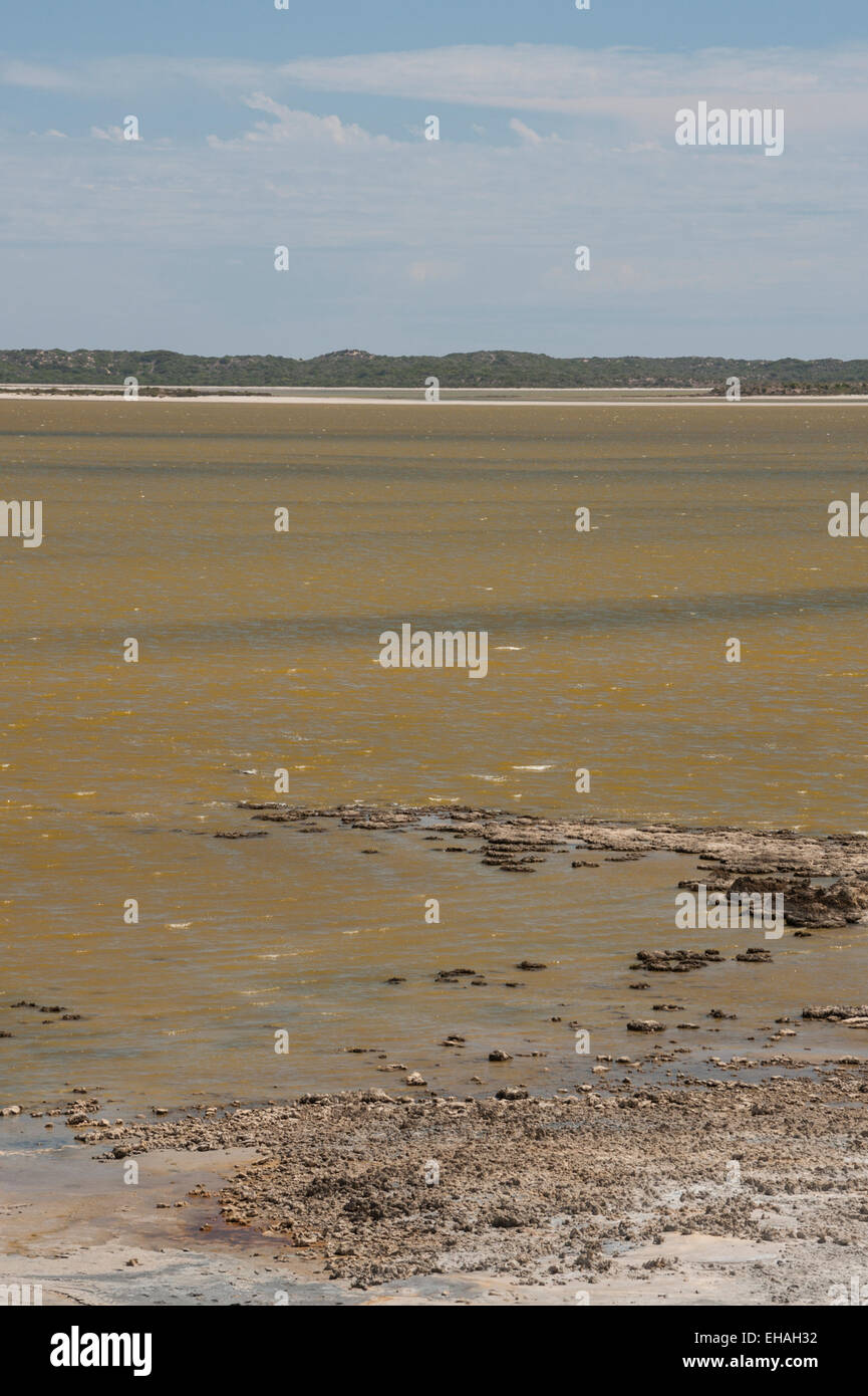 The Coorong, looking across from the mainland to the Younghusband Peninsula. Stock Photo