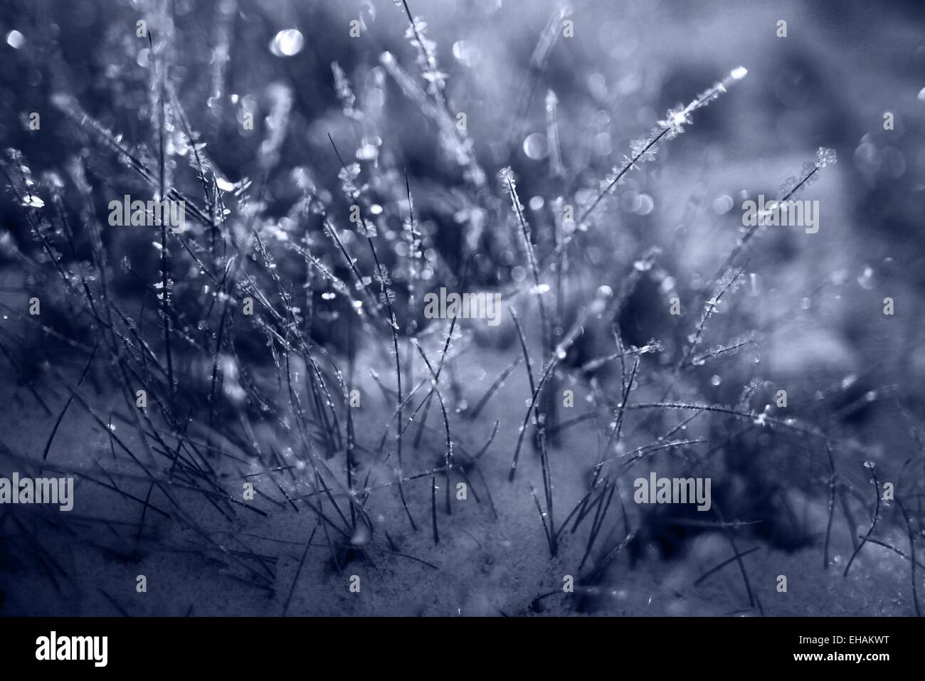 landscape winter snow forest Stock Photo - Alamy