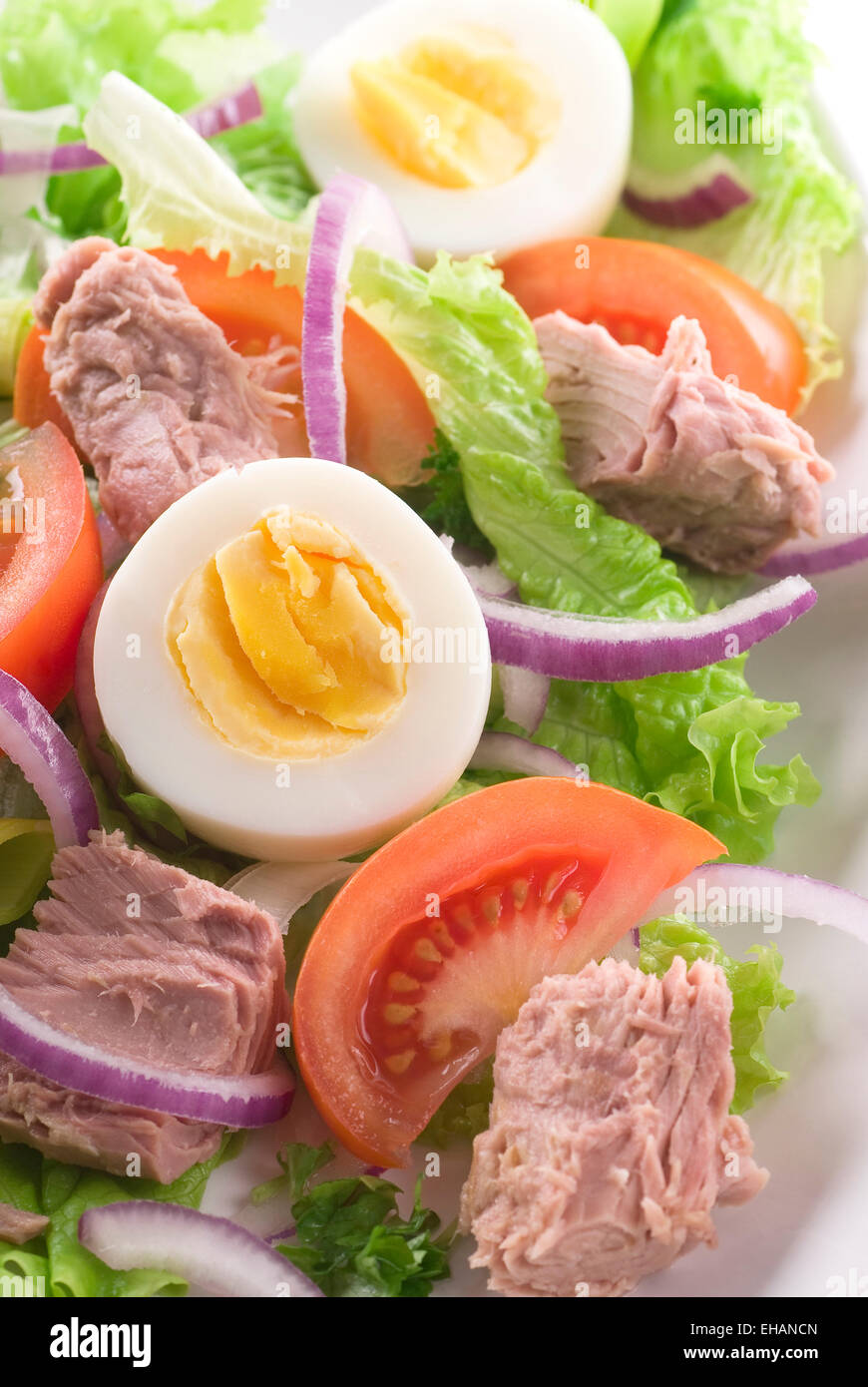 Egg, tuna fish, red onion, tomato, parsley and lettuce salad. Stock Photo