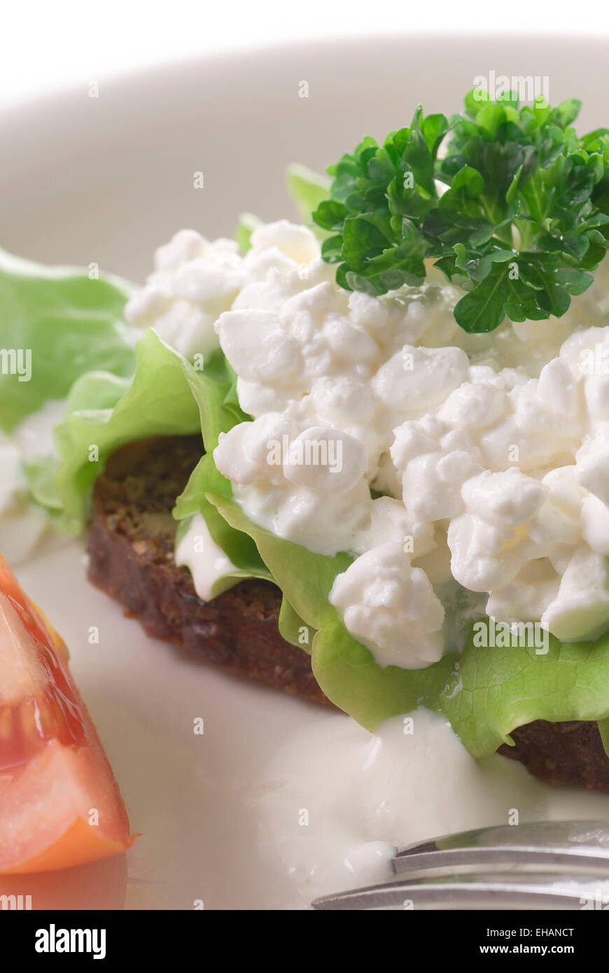 Rye bread with cottage cheese, lettuce, parsley and tomato. Stock Photo
