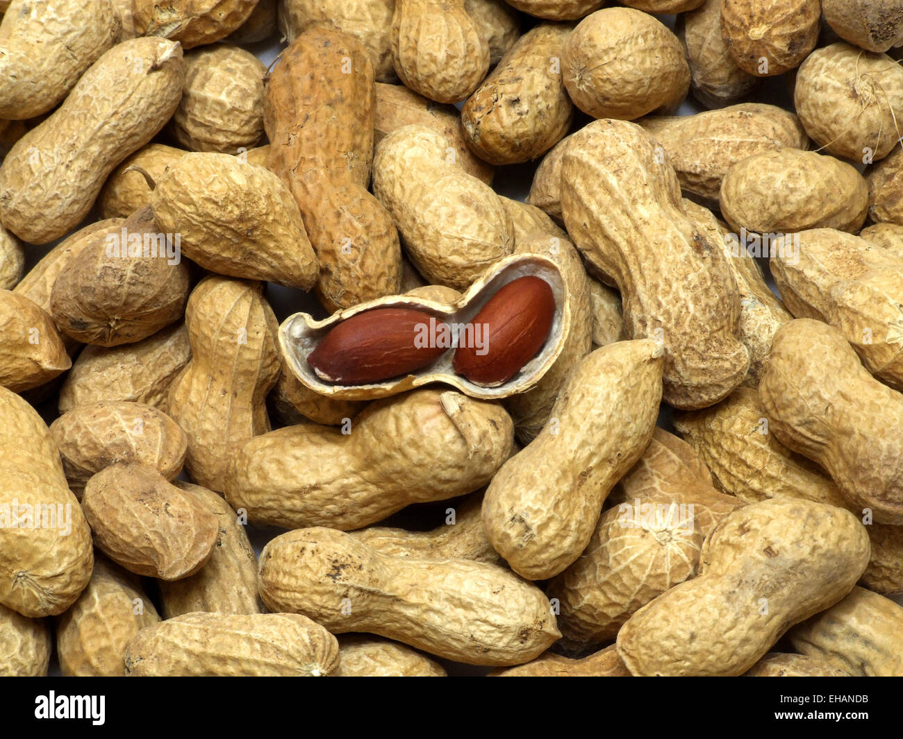 Erdnüsse / peanuts Stock Photo