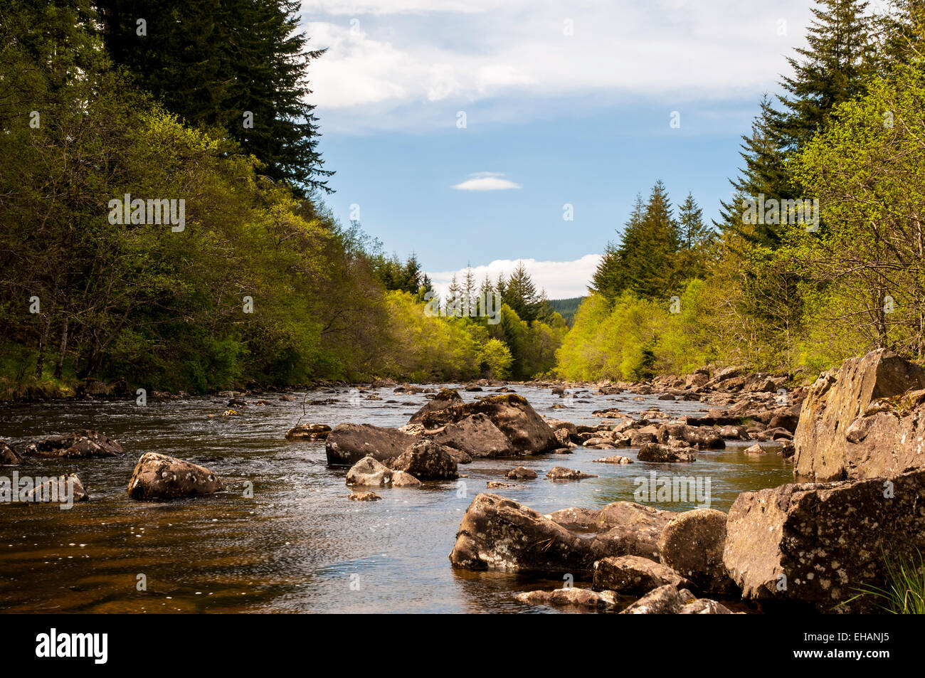 The rock strewn River Moriston flowing through coniferous woodland in ...