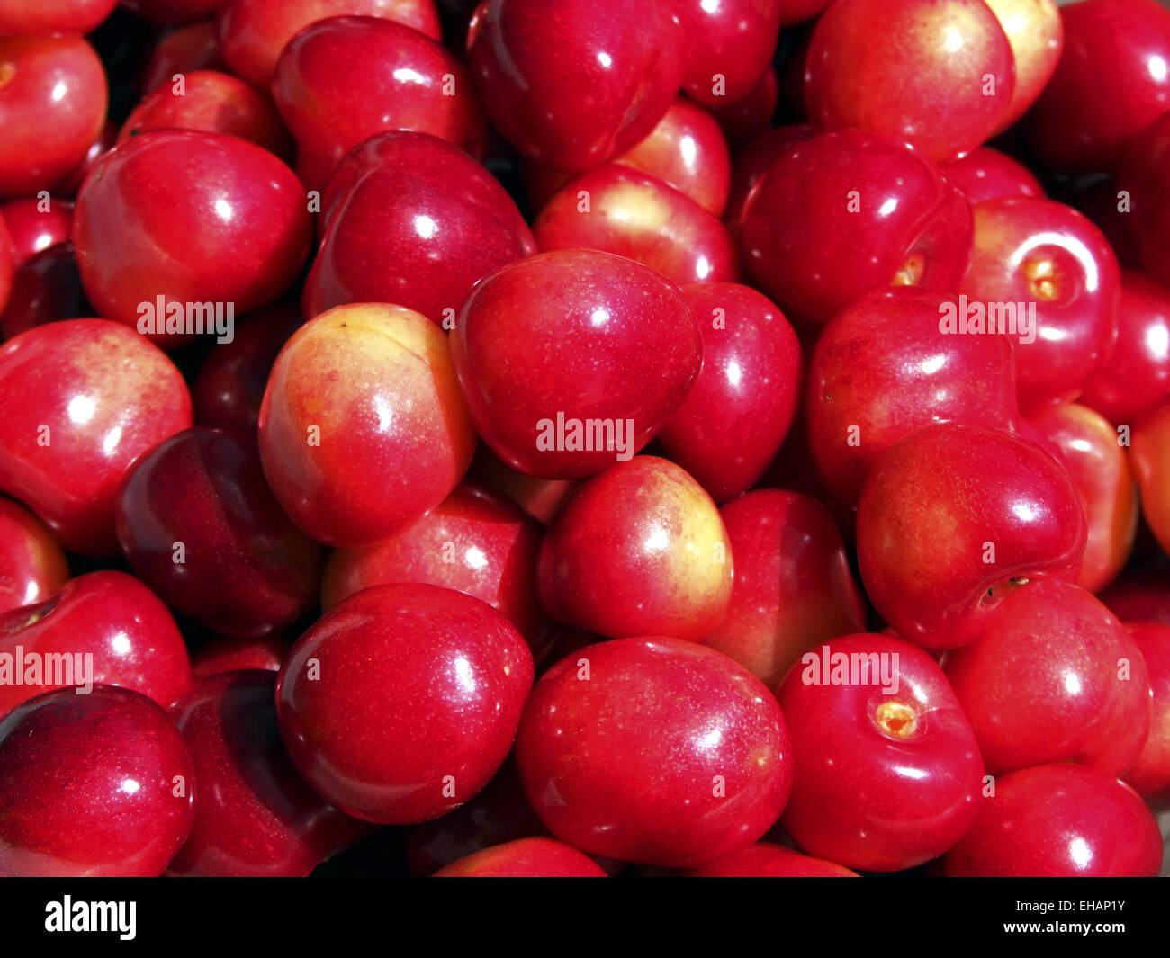 ein Haufen Kirschen / cherries Stock Photo