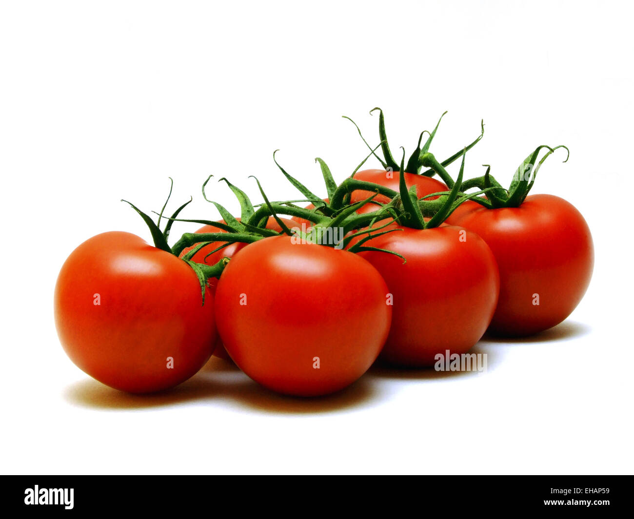Tomaten / tomatoes Stock Photo