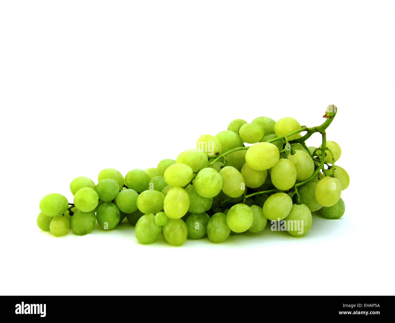 Weintrauben / grapes Stock Photo