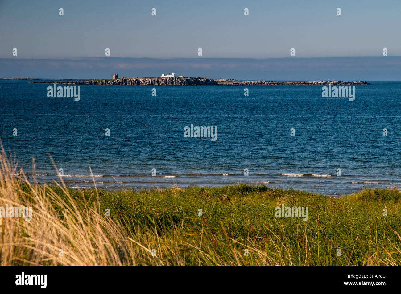 The Farne Islands seen from the mainland at Bamburgh Northumberland. June. Stock Photo