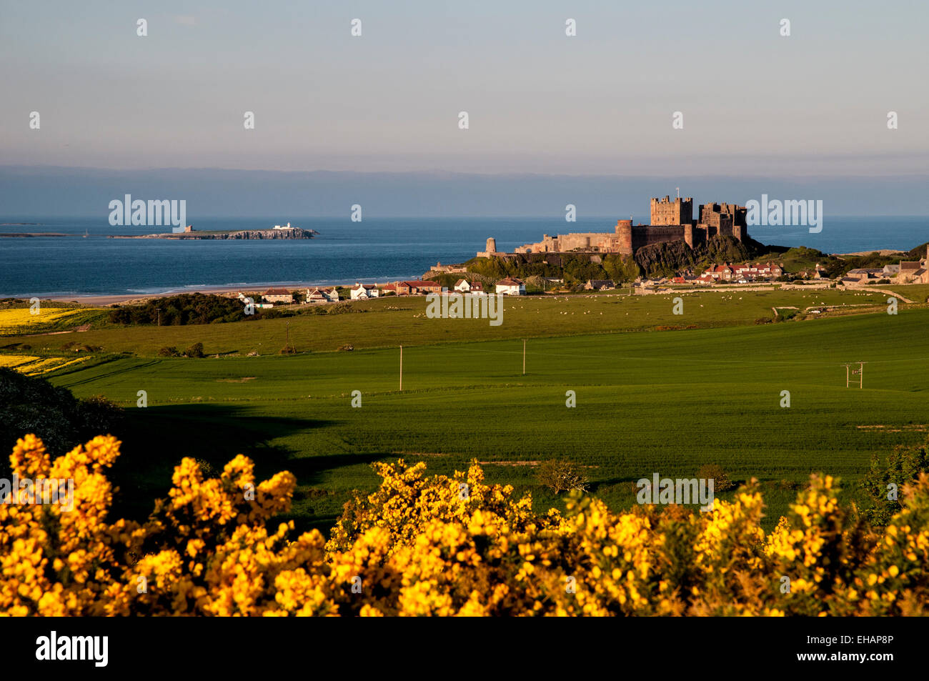 Bamburgh Castle, with the Farne Islands behind, dominating the village of Bamburgh in Northumberland. June. Stock Photo