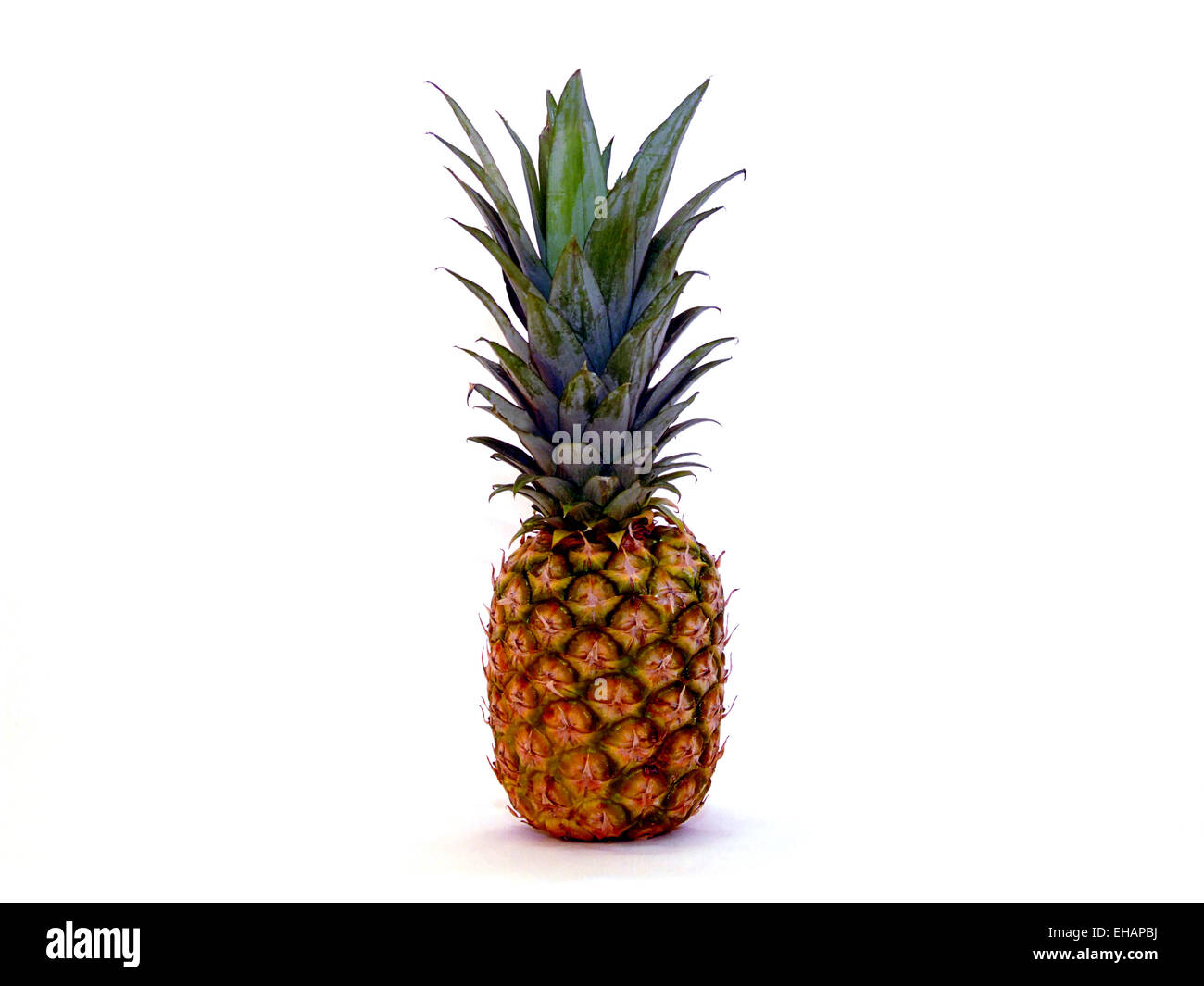 Ananas / pineapple Stock Photo Alamy