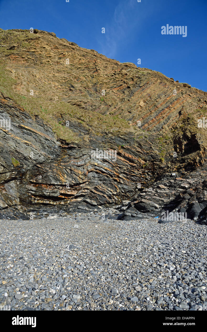 Folding in the cliffs at Pencannow Point , Crackington Haven, near Bude, Cornwall, UK Stock Photo
