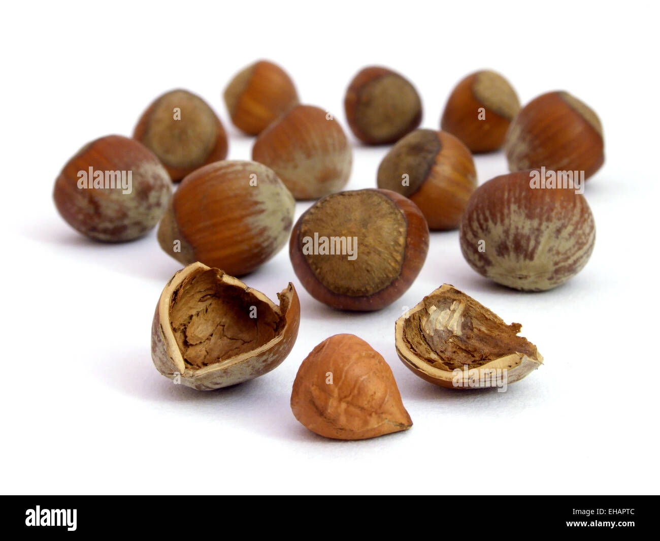 Haselnüsse / hazelnuts (corylus avellana Stock Photo Alamy