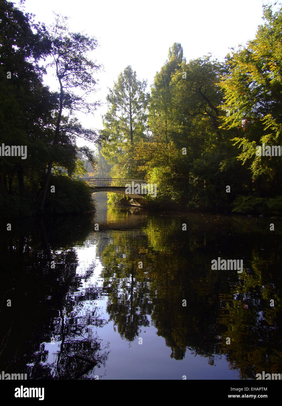 Tiergarten, Deutschland, Berlin Stock Photo