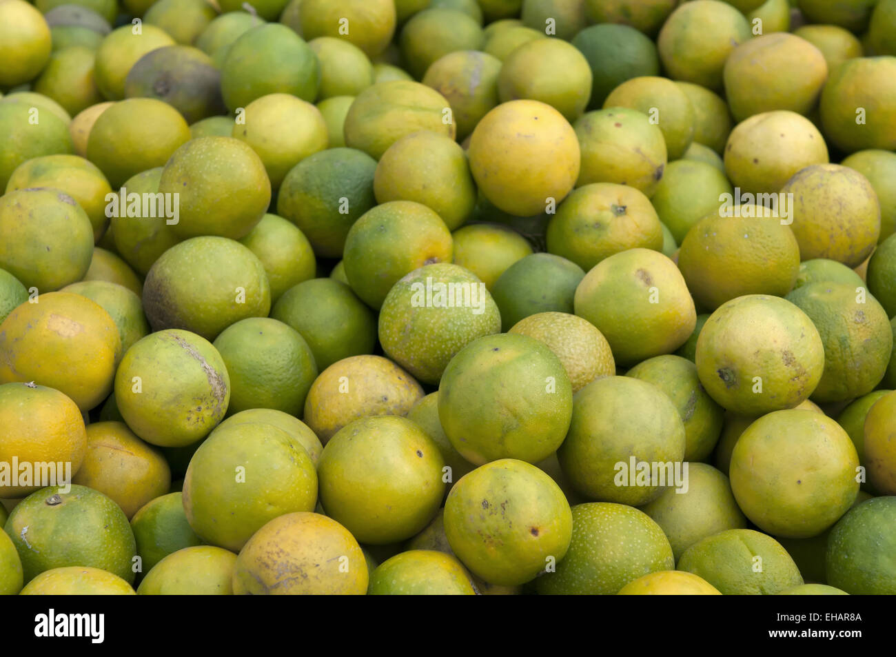 Lime harvest india hires stock photography and images Alamy