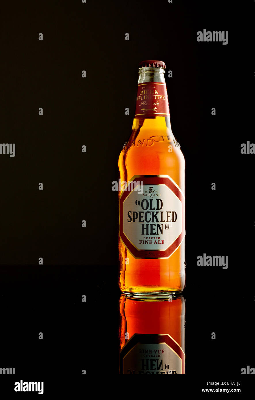 Bottle of Ale/Beer Stock Photo Alamy