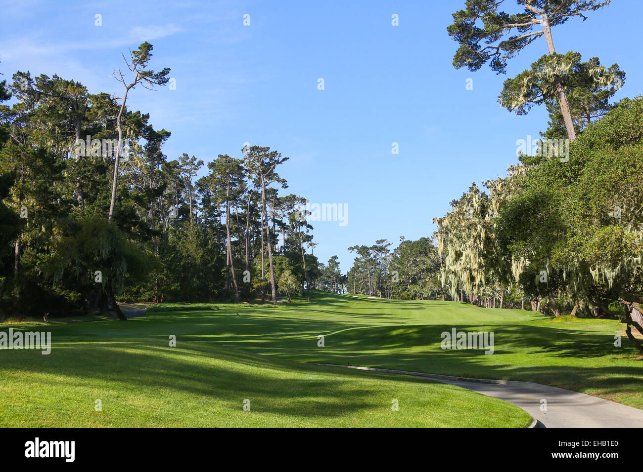 The green golf course Stock Photo