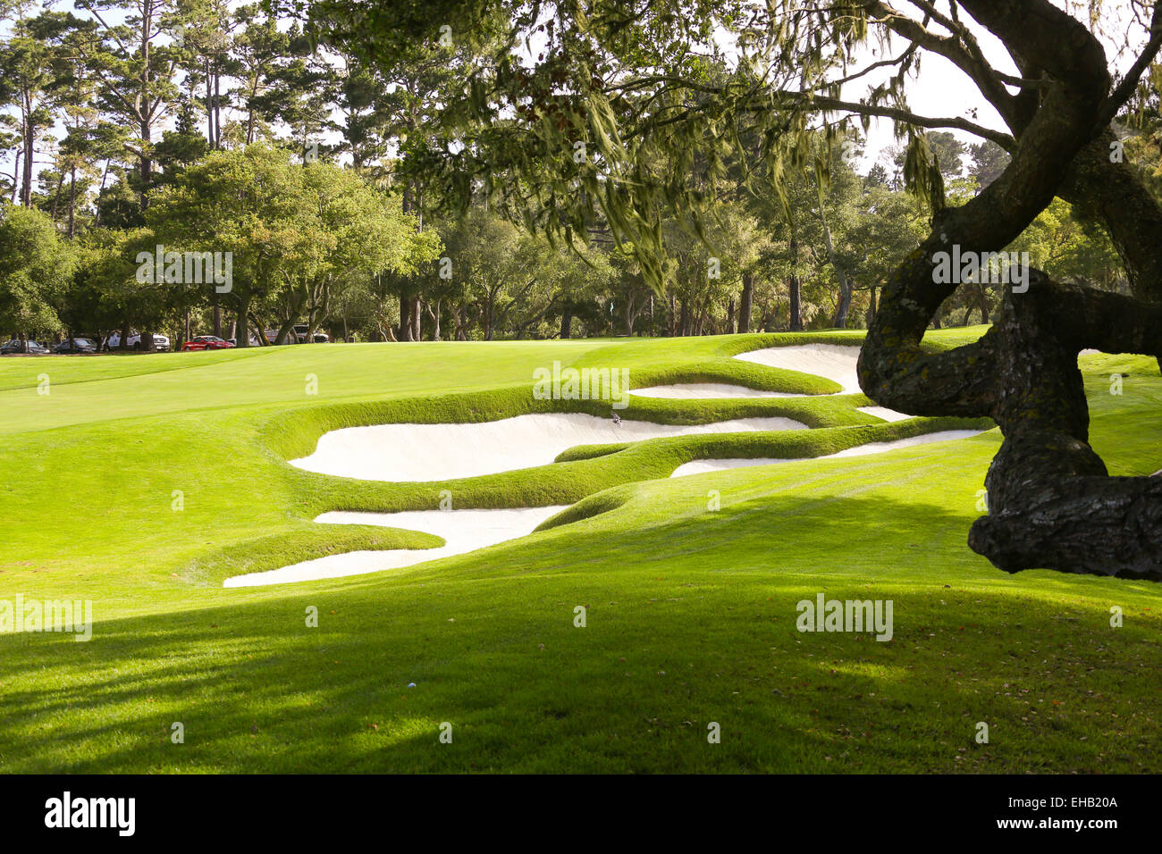 The green golf course Stock Photo Alamy