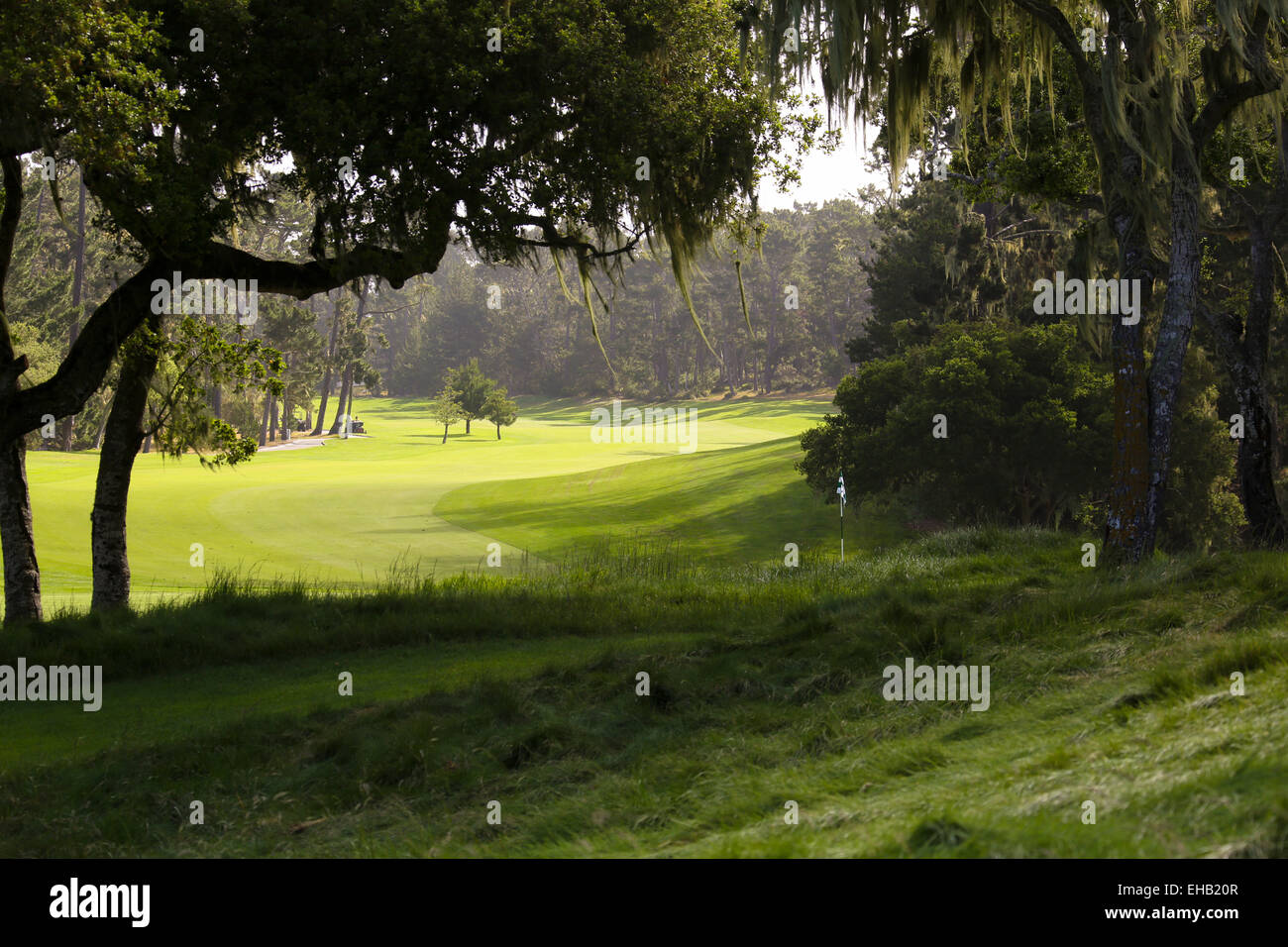The green golf course Stock Photo Alamy