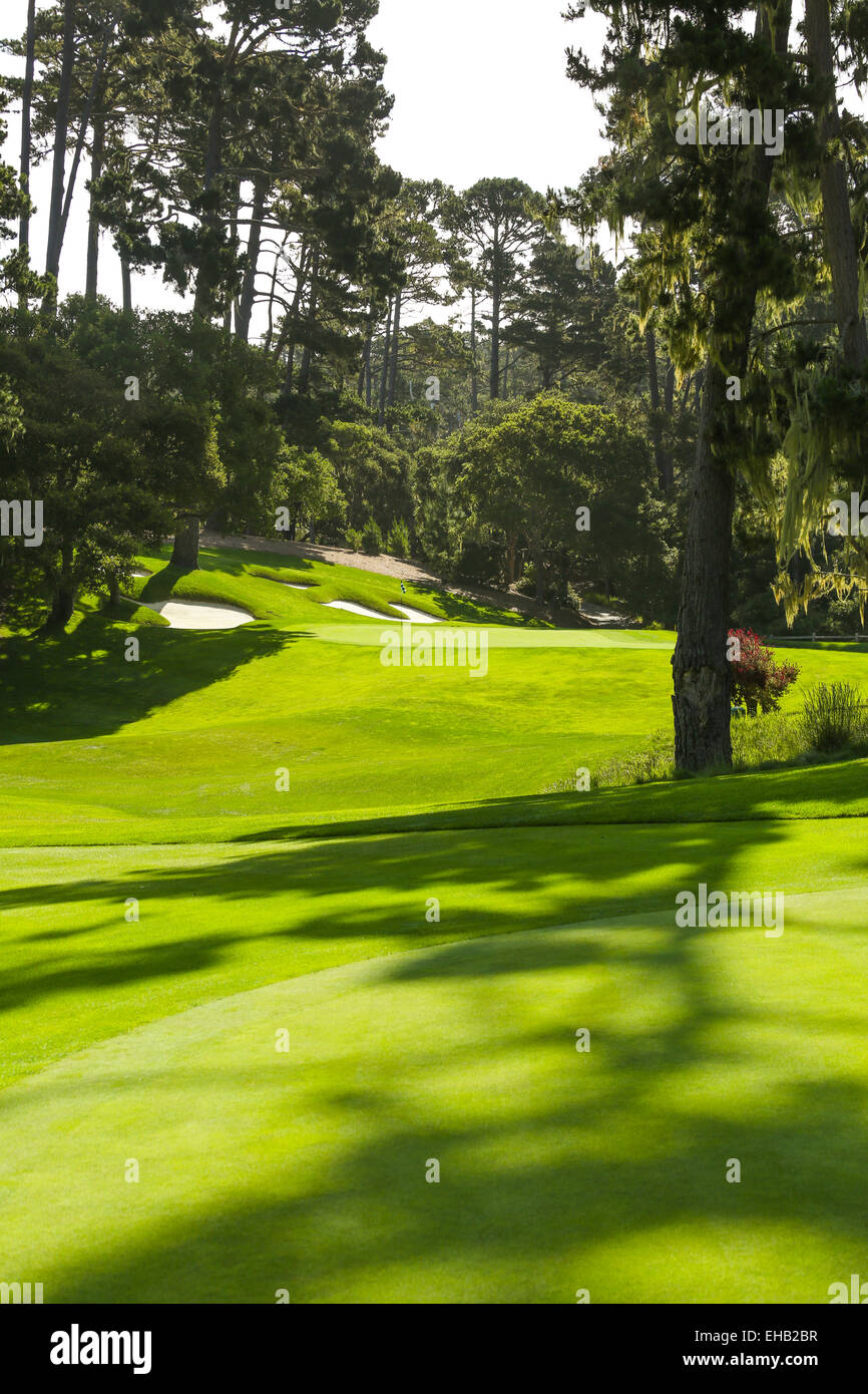 The green golf course Stock Photo Alamy