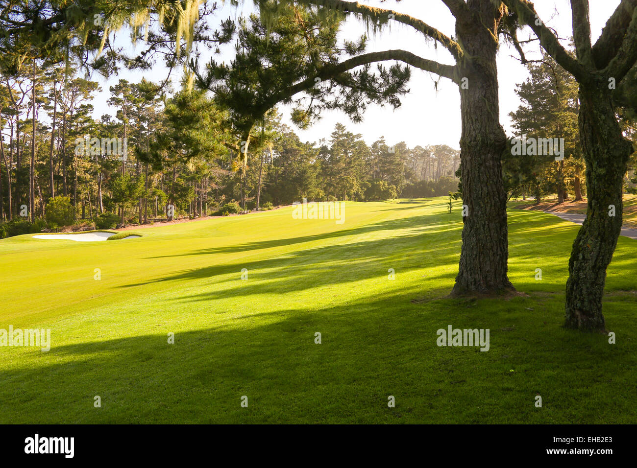 The green golf course Stock Photo Alamy