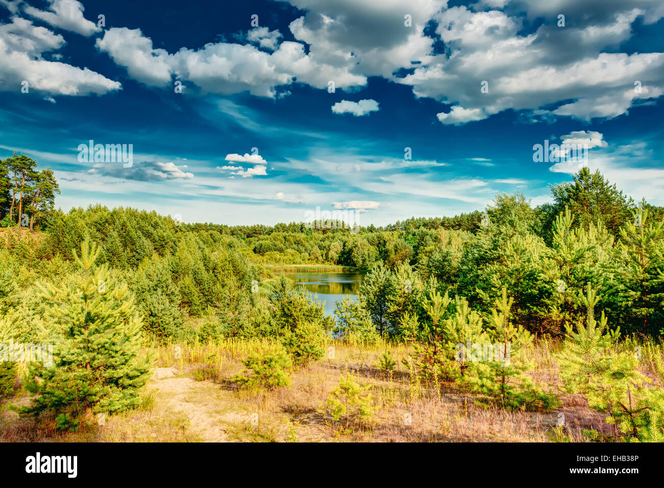 Green Summer Forest View. Sunny Day, Blue Sky Stock Photo - Alamy